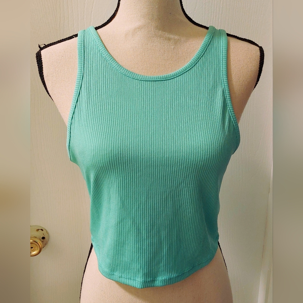 NWOT Mint Green Crop Top
